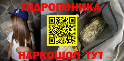 jwh Ставрополь