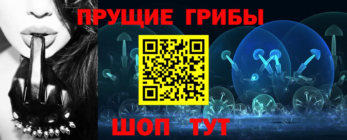 Псилоцибиновые грибы Psilocybe Сафоново